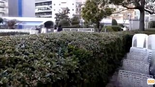 幸福花园ova无删减樱花动漫高清蓝光在线观看🔞微电影...
